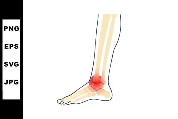 Human Ankle Joint Anatomy Illustration H
